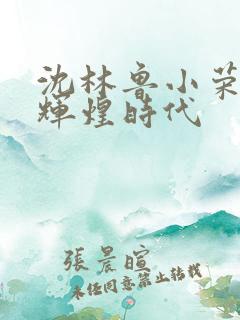 沈林鲁小荣重生辉煌时代