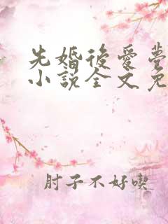 先婚后爱梦筱二小说全文免费阅读