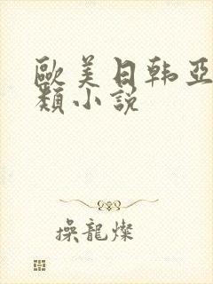 欧美日韩亚洲另类小说