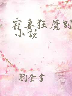 宠妻狂魔别太坏 小说