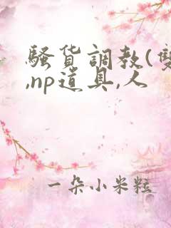 骚货调教(双性,np道具,人