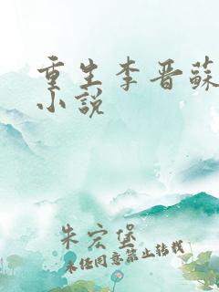 重生李晋苏晚晴小说
