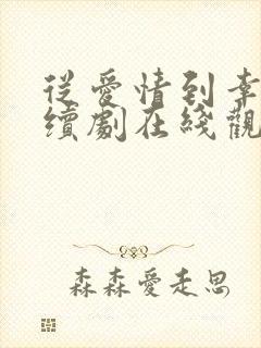 从爱情到幸福连续剧在线观看