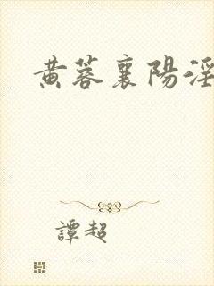 黄蓉襄阳淫记