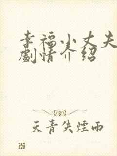 幸福小丈夫分集剧情介绍