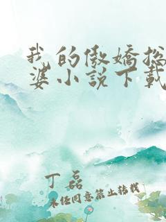 我的傲娇总裁老婆小说下载