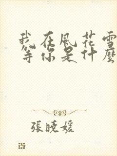 我在风花雪月里等你是什么