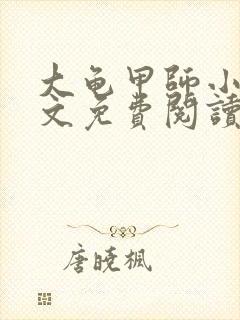 大龟甲师小说全文免费阅读全文