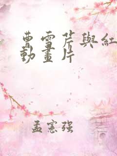 曹雪芹与红楼梦动画片