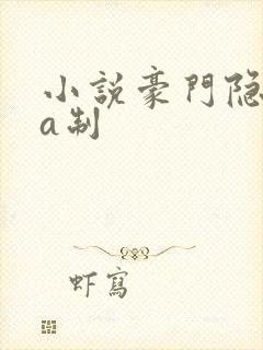 小说豪门隐婚aa制