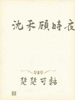 沈禾顾时夜小说