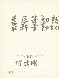 叶辰萧初然免费最新章节txt
