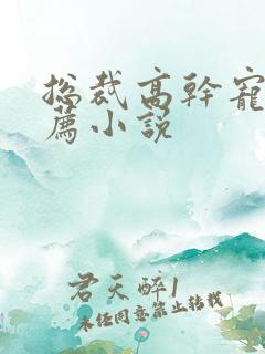 总裁高干宠文推荐小说
