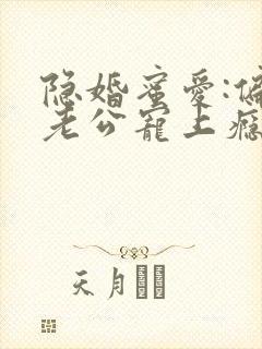隐婚蜜爱:偏执老公宠上瘾小说完整版
