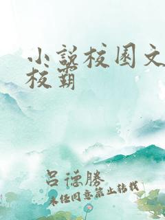 小说校园文男主校霸