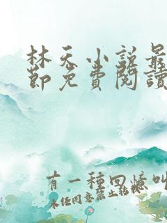 林天小说最新章节免费阅读全文