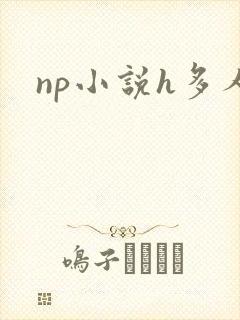 np小说h多人