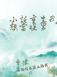 小说重生我真没想当暖男
