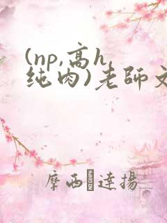 (np,高h,纯肉)老师文