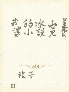 我的冰山美女老婆小说免费版