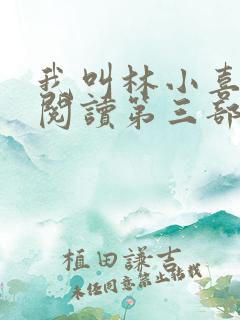 我叫林小喜全文阅读第三部