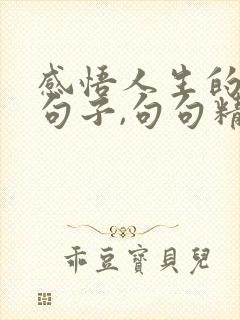 感悟人生的哲理句子,句句精辟