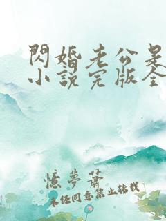 闪婚老公是豪门小说完版全章
