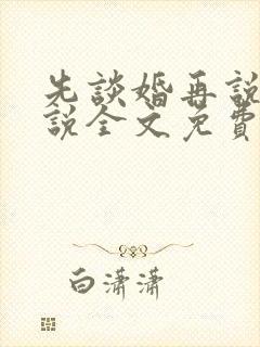 先谈婚再说爱小说全文免费阅读