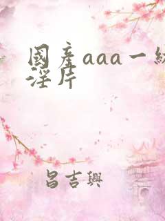 国产aaa一级淫片