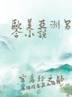 欧美亚洲另类综合小说