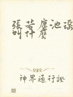 张若尘池瑶小说叫什么