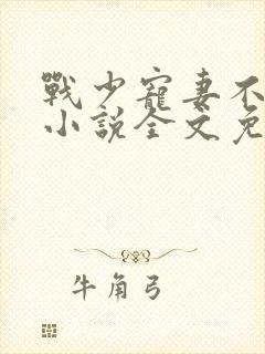 战少宠妻不能停小说全文免费阅读
