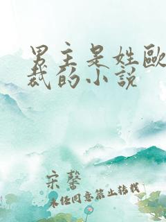 男主是姓欧的总裁的小说