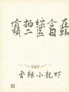 偷拍综合在线视频二区日韩