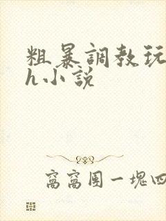 粗暴调教玩弄高h小说