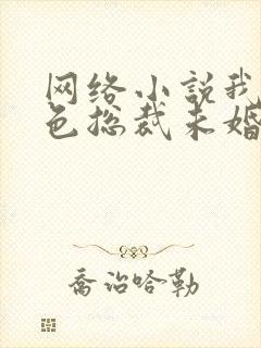 网络小说我的绝色总裁未婚妻