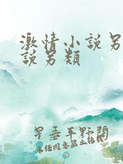激情小说另类小说另类