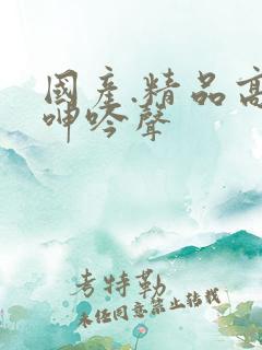 国产.精品高潮呻吟声