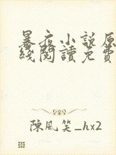 暴夜小说原著在线阅读免费