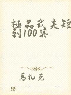 极品武夫短剧1到100集
