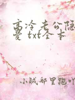 高冷老公隐婚蜜爱 txt全本