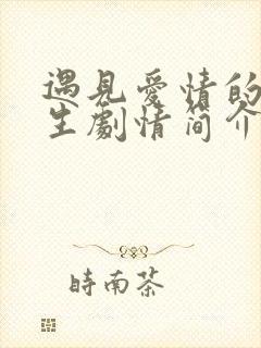 遇见爱情的利先生剧情简介