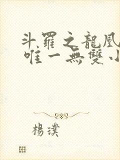 斗罗之龙凰传说 唯一无双小说