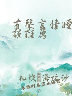 有声言情暧昧小说推荐