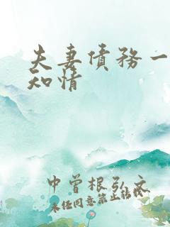 夫妻债务一方不知情