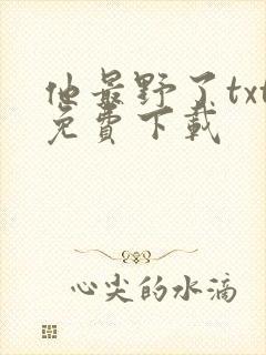 他最野了txt免费下载
