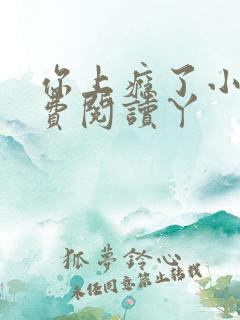 你上瘾了小说免费阅读丫