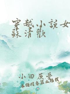 穿越小说女主叫苏清欢