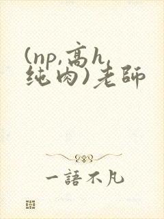 (np,高h,纯肉)老师