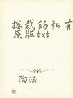 总裁的私有宝贝原版txt